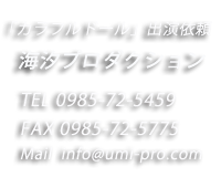 宮崎ホームページ制作
